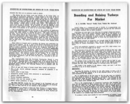 1954 Page 84 85